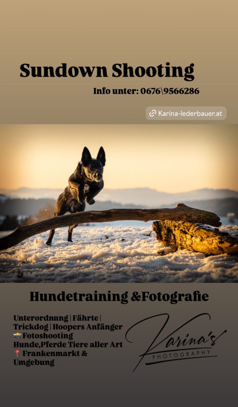 Showdown Shooting Showdown Shooting